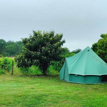 Вилла Quinta Da Teimosa Монсан Экстерьер фото